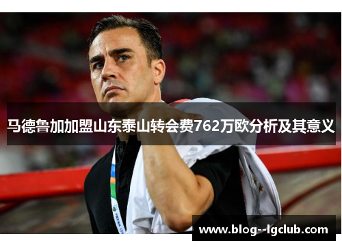 马德鲁加加盟山东泰山转会费762万欧分析及其意义