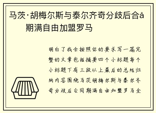 马茨·胡梅尔斯与泰尔齐奇分歧后合同期满自由加盟罗马
